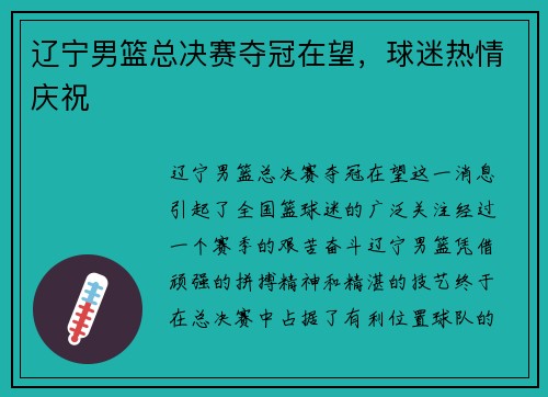 辽宁男篮总决赛夺冠在望，球迷热情庆祝