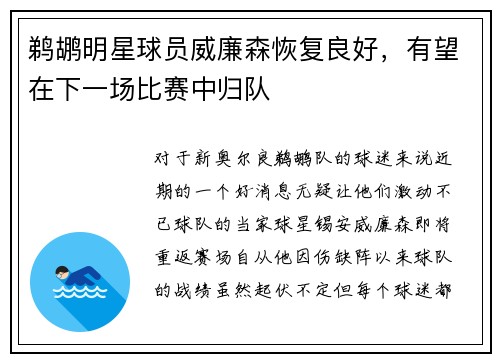鹈鹕明星球员威廉森恢复良好，有望在下一场比赛中归队