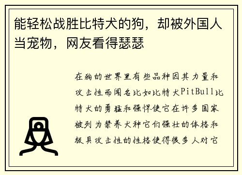 能轻松战胜比特犬的狗，却被外国人当宠物，网友看得瑟瑟