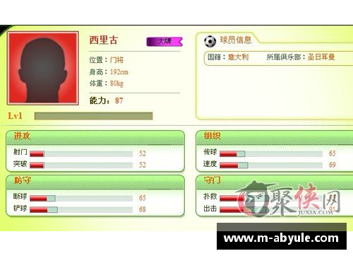球员详细信息汇总与分析