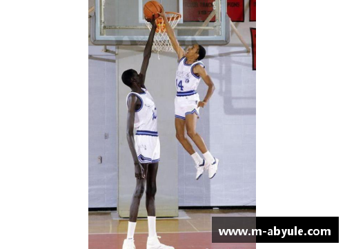 ab娱乐NBA沈洋：从业余赛场到职业巅峰的篮球生涯